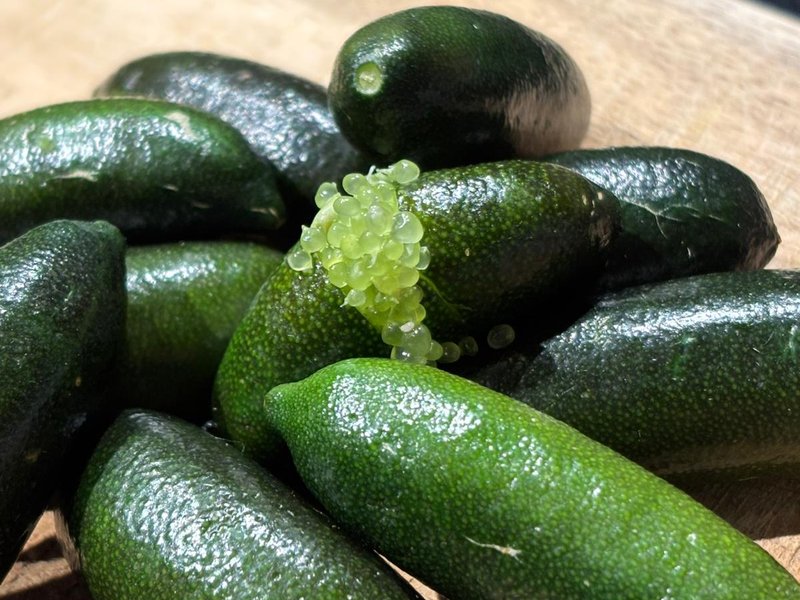 Emerald Finger Lime