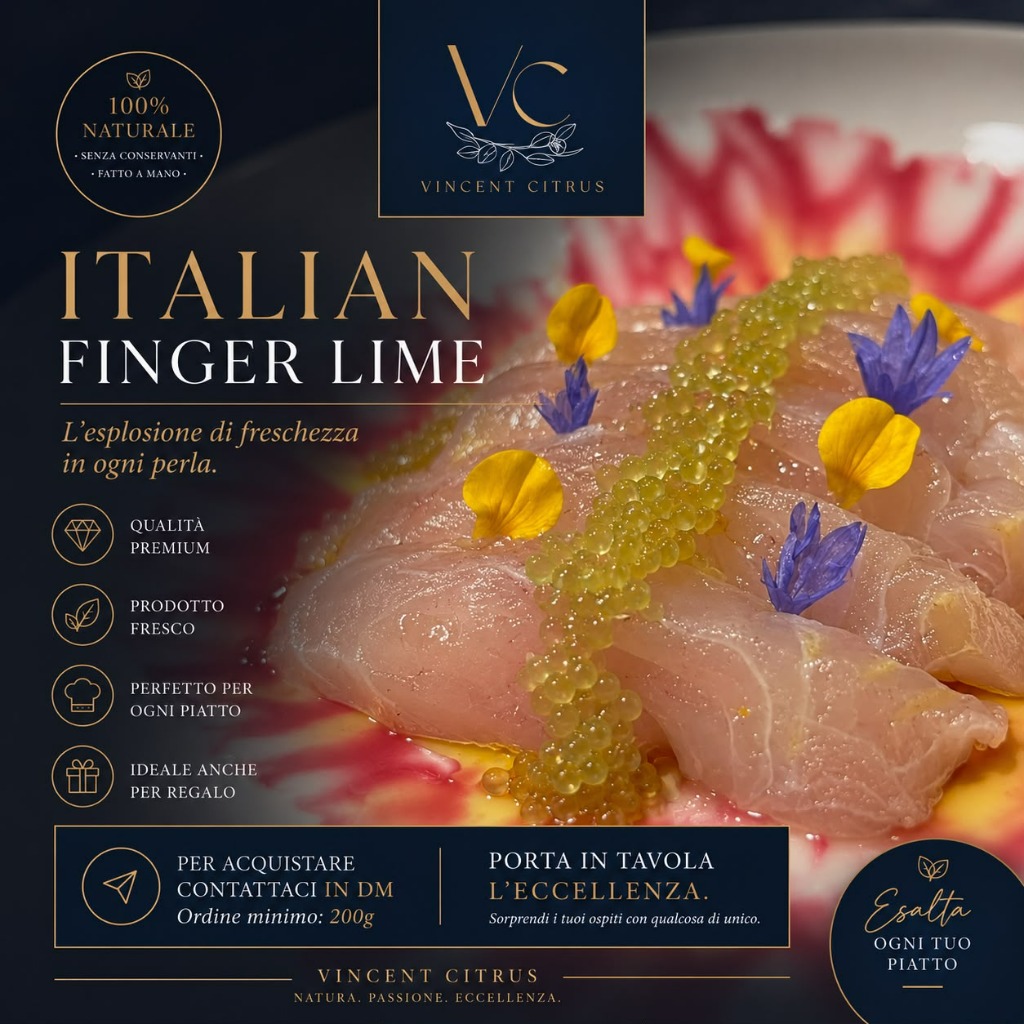 Vincent Citrus Promo
